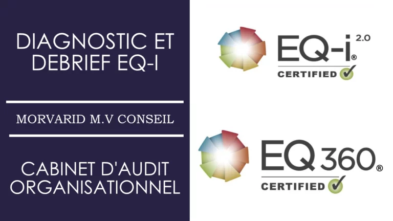 Diagnostic et Debrief EQ-i à Chambery Morvarid Vincent